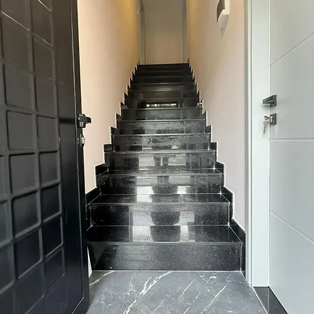 Estel Tirana